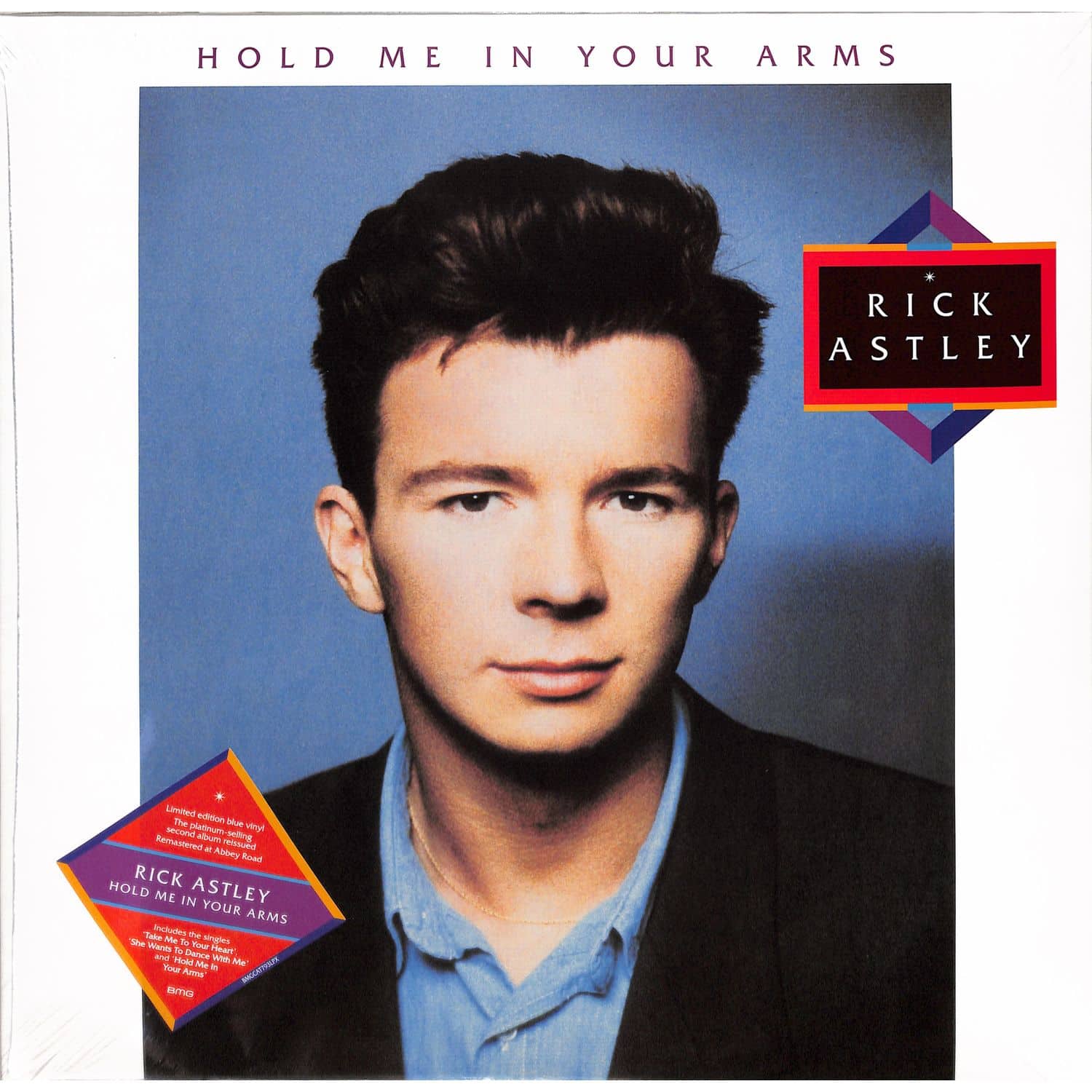 Rick Astley - HOLD ME IN YOUR ARMS 