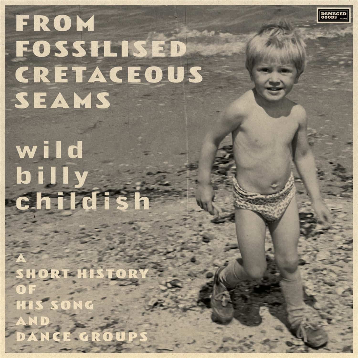 Billy Childish - FROM FOSSILISED CRETACEOUS SEAMS 