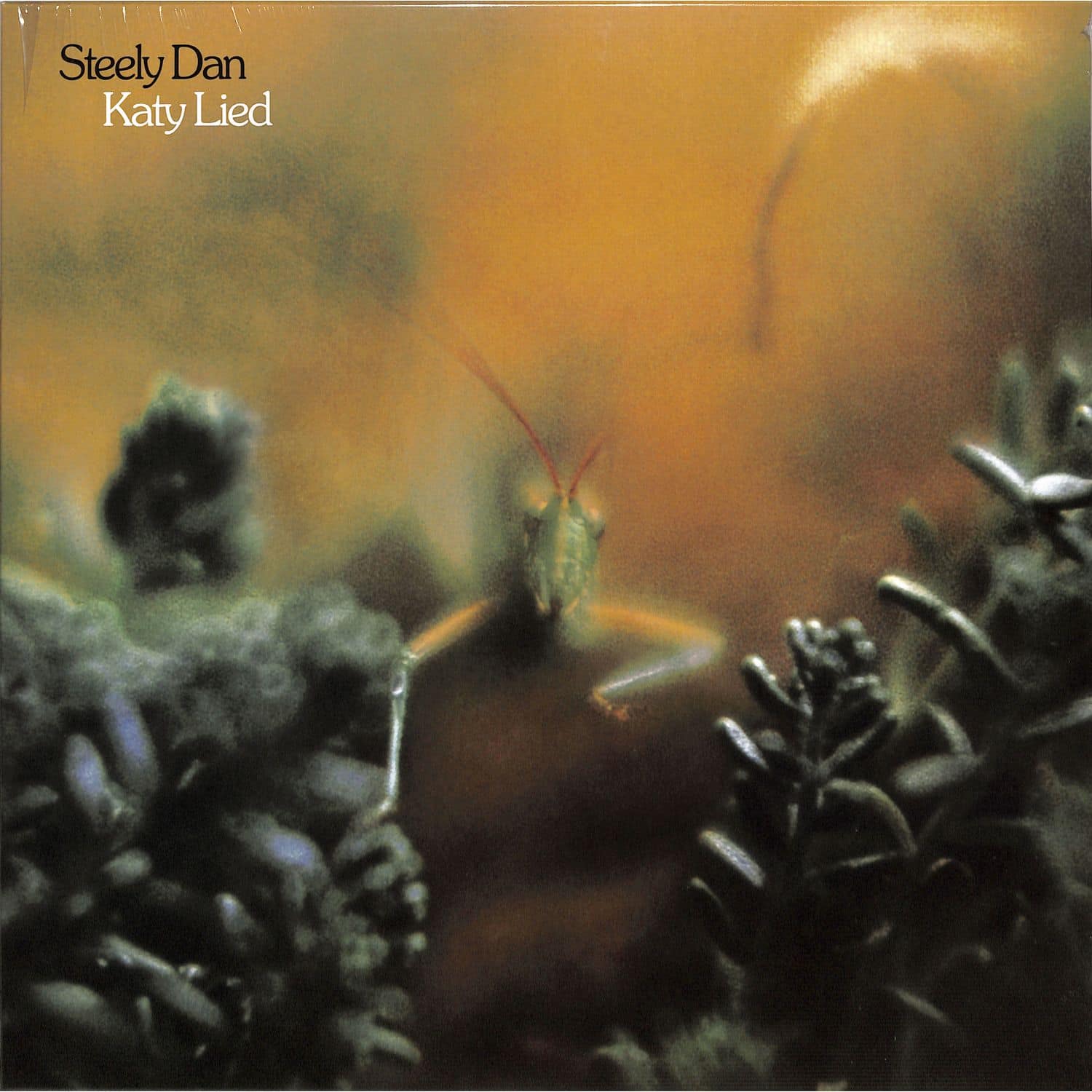 Steely Dan - KATY LIED 