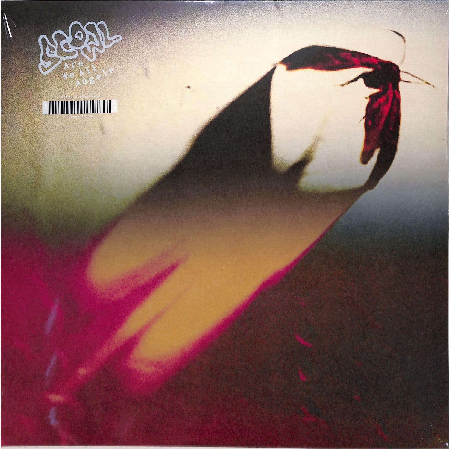 Scowl - ARE WE ALL ANGELS 