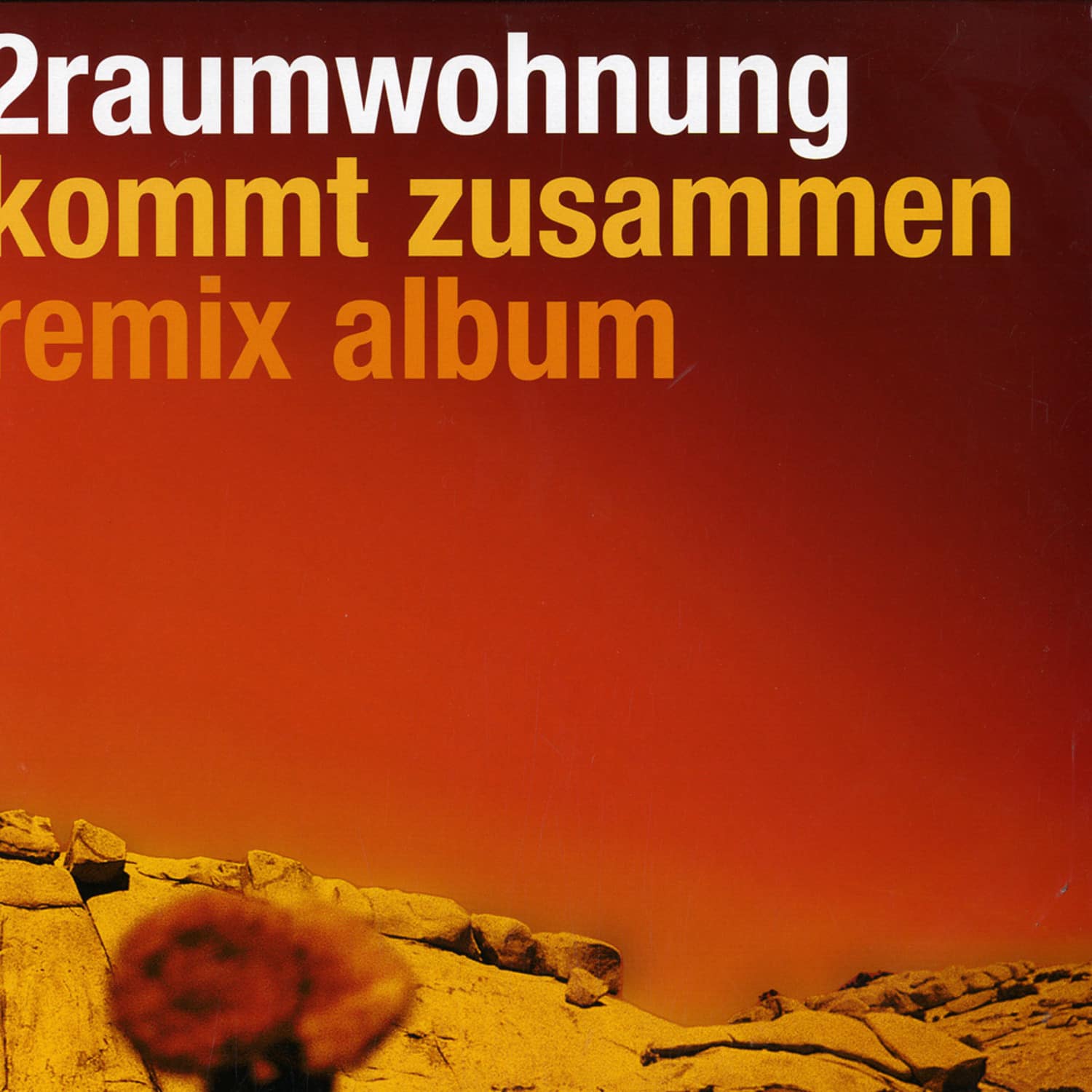 2Raumwohnung - KOMMT ZUSAMMEN - REMIX ALBUM 