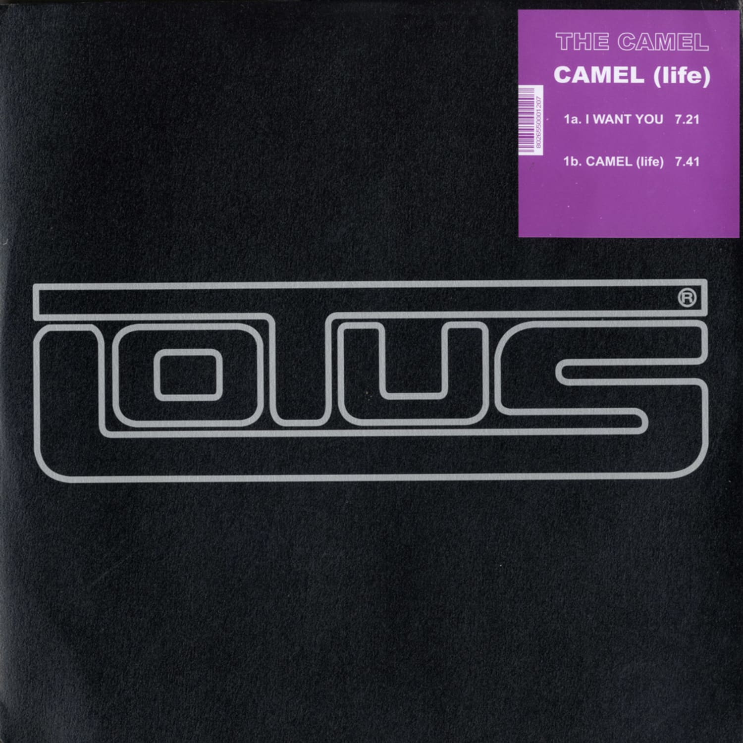 The Camel - CAMEL