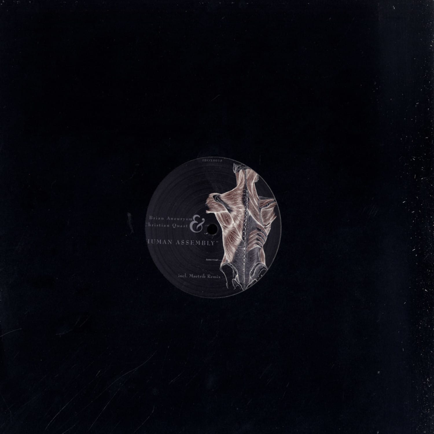 Brian Aneurysm & Christian Quast - HUMAN ASSEMBLY