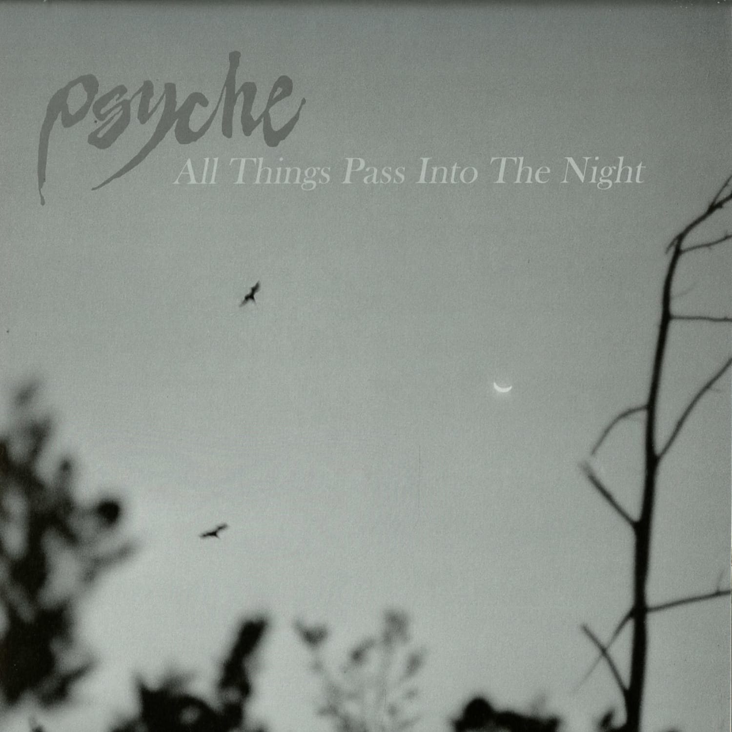 Psyche - ALL THINGS PASS INTO THE NIGHT