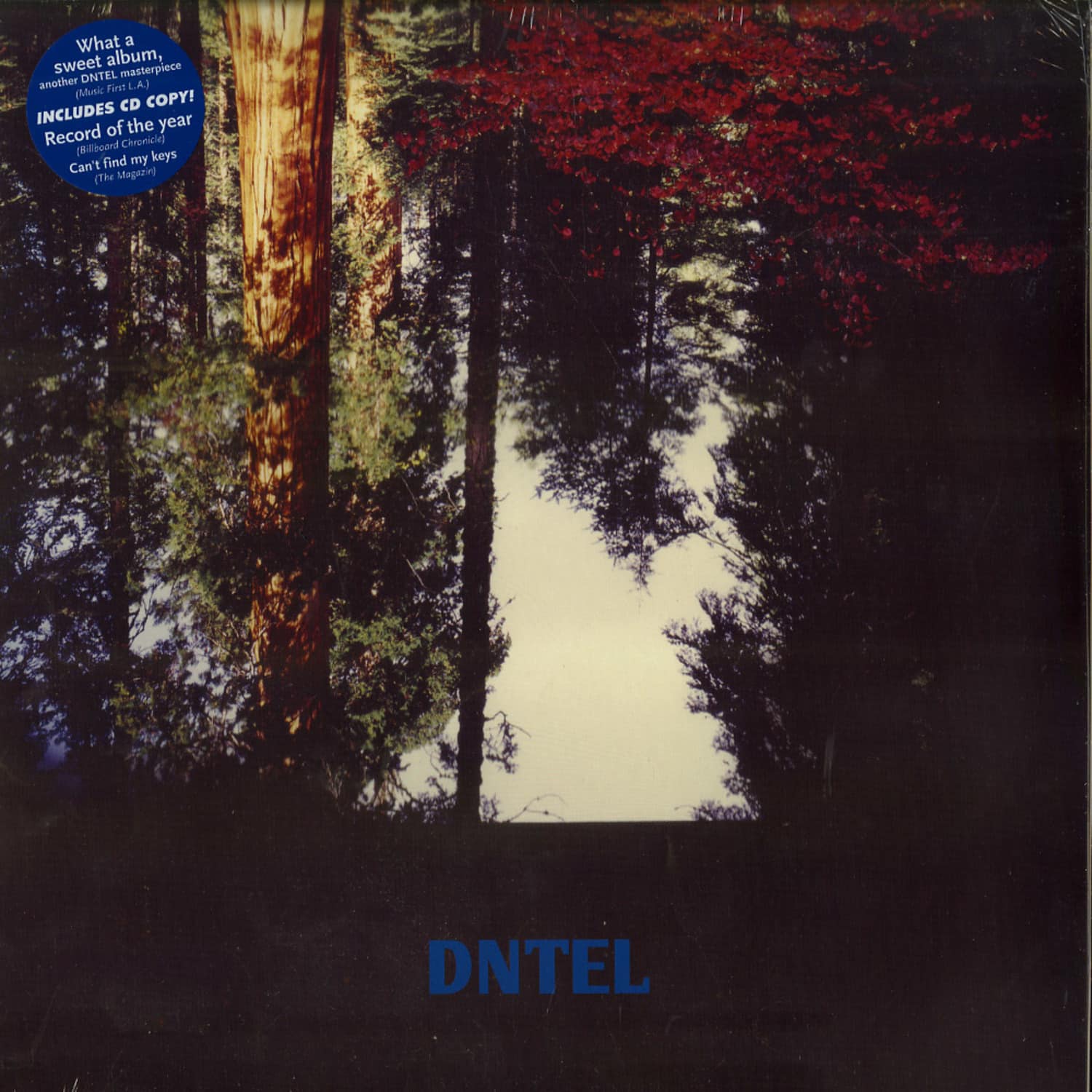 Dntel - AIMLESSNESS 