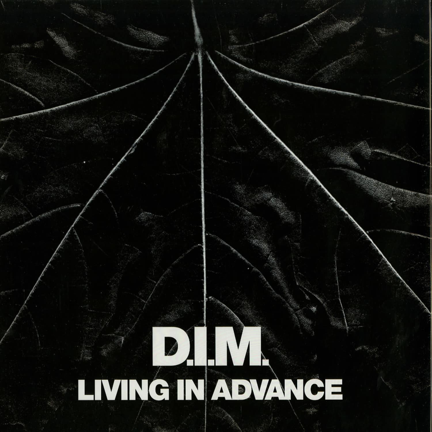 D.I.M. - LIVING IN ADVANCE