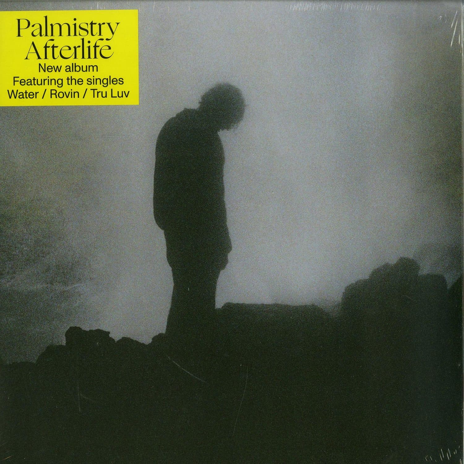 Palmistry - AFTERLIFE 