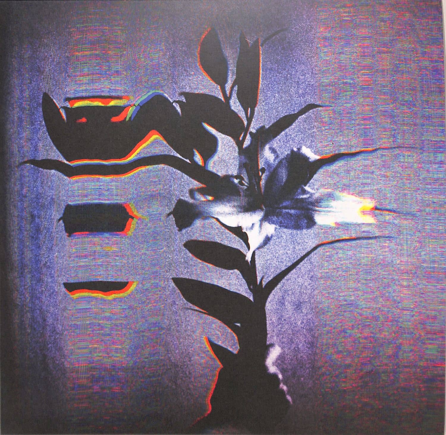 Populist  - TTATLTD001