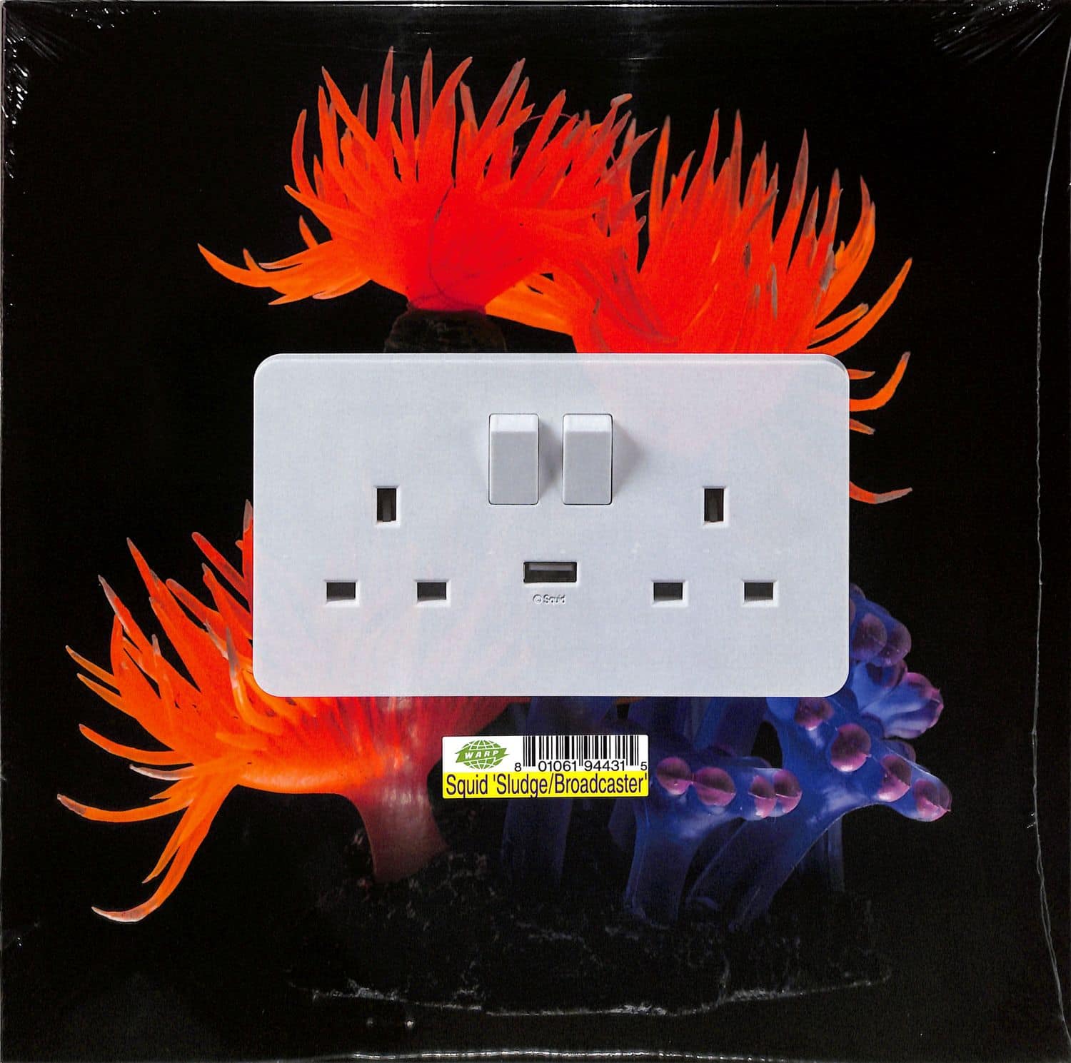 Squid - SLUDGE 