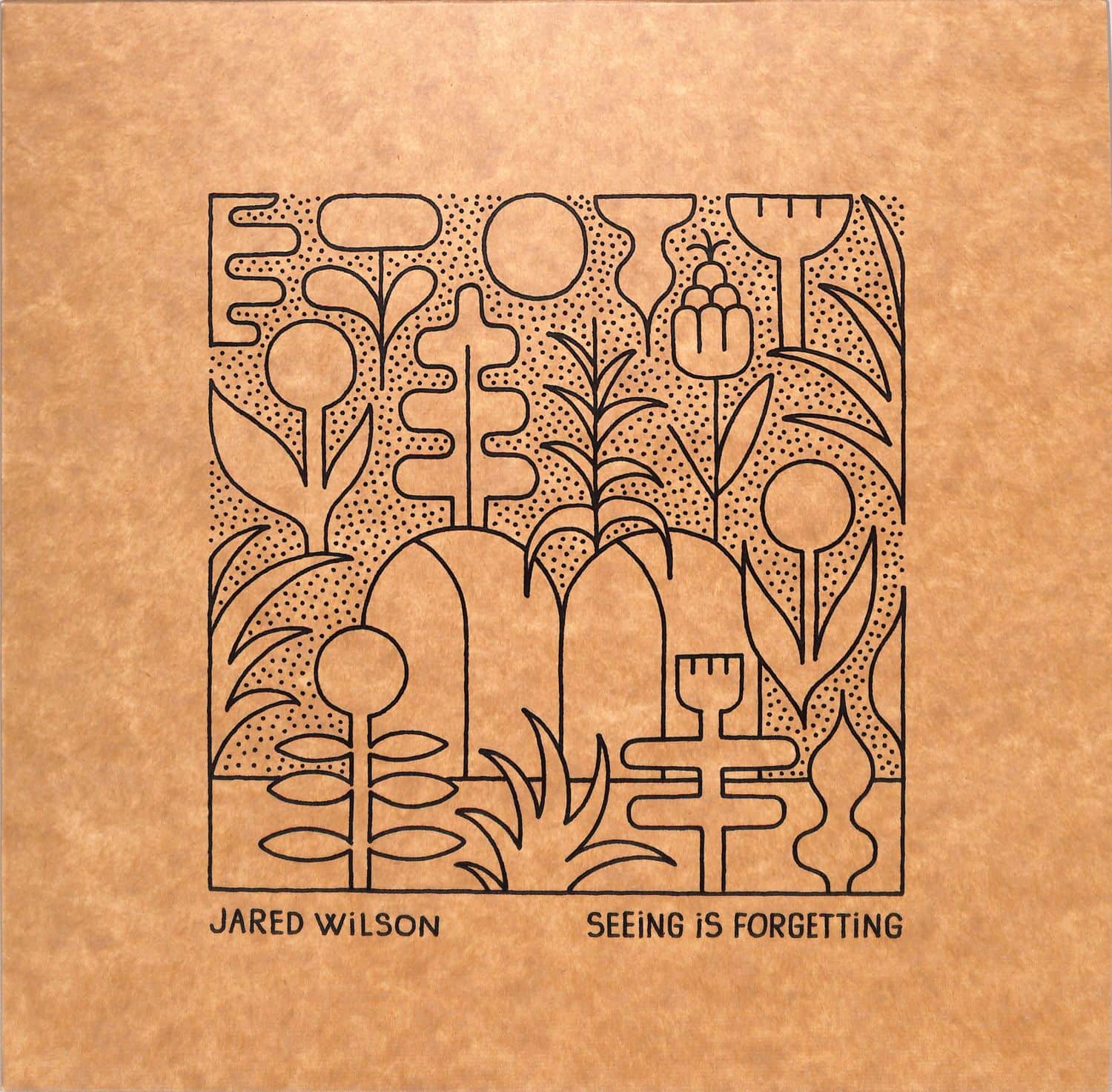 Jared Wilson - SEEING IS FORGETTING