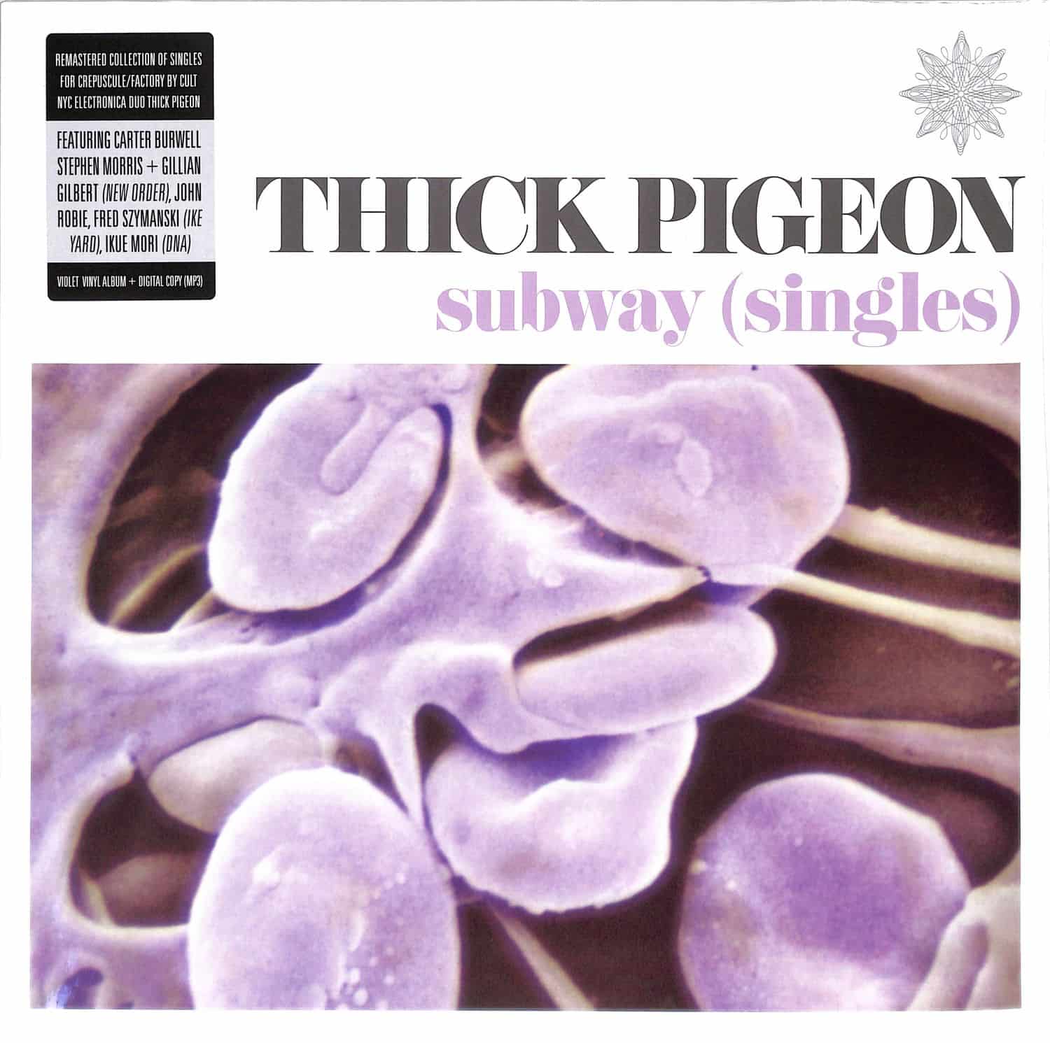 Thick Pigeon - SUBWAY 