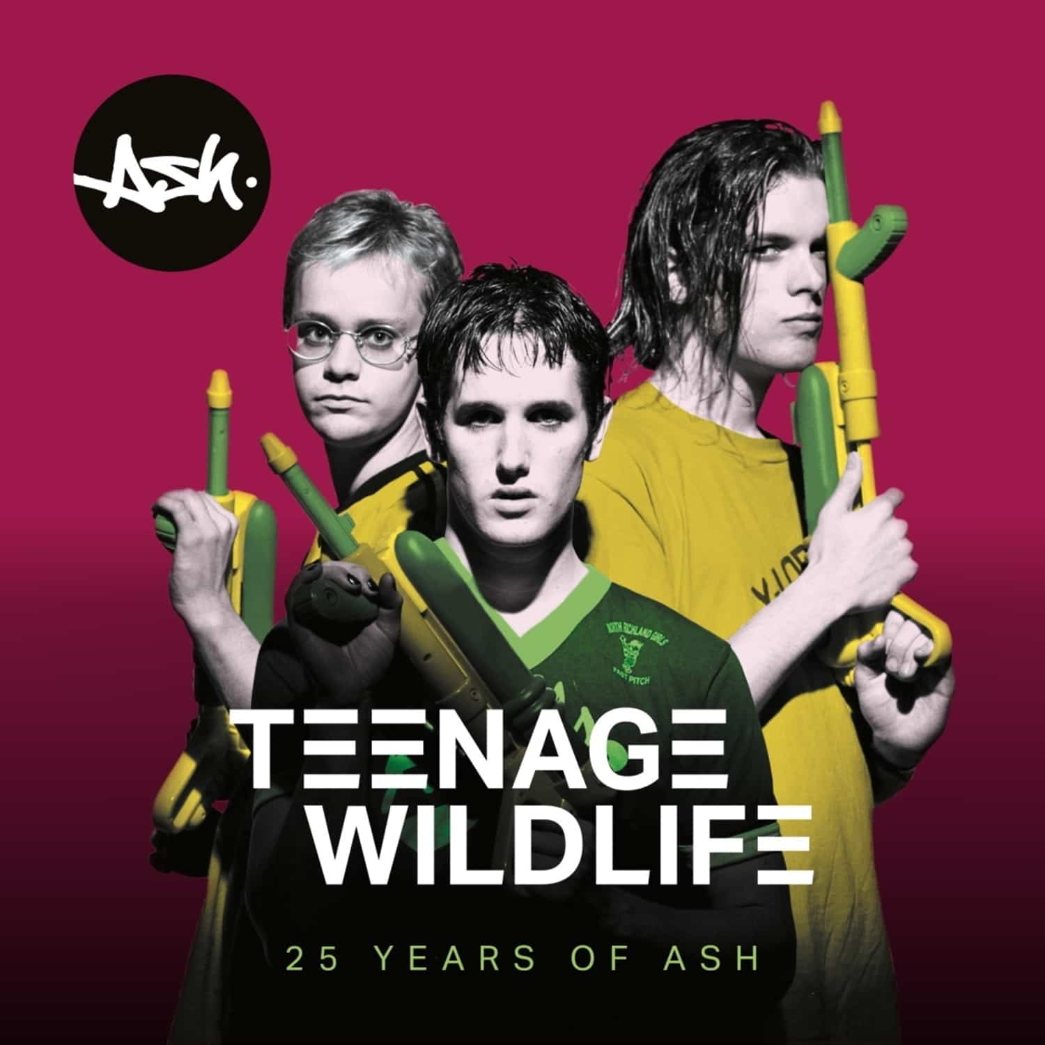 Ash - TEENAGE WILDLIFE-25 YEARS OF ASH 