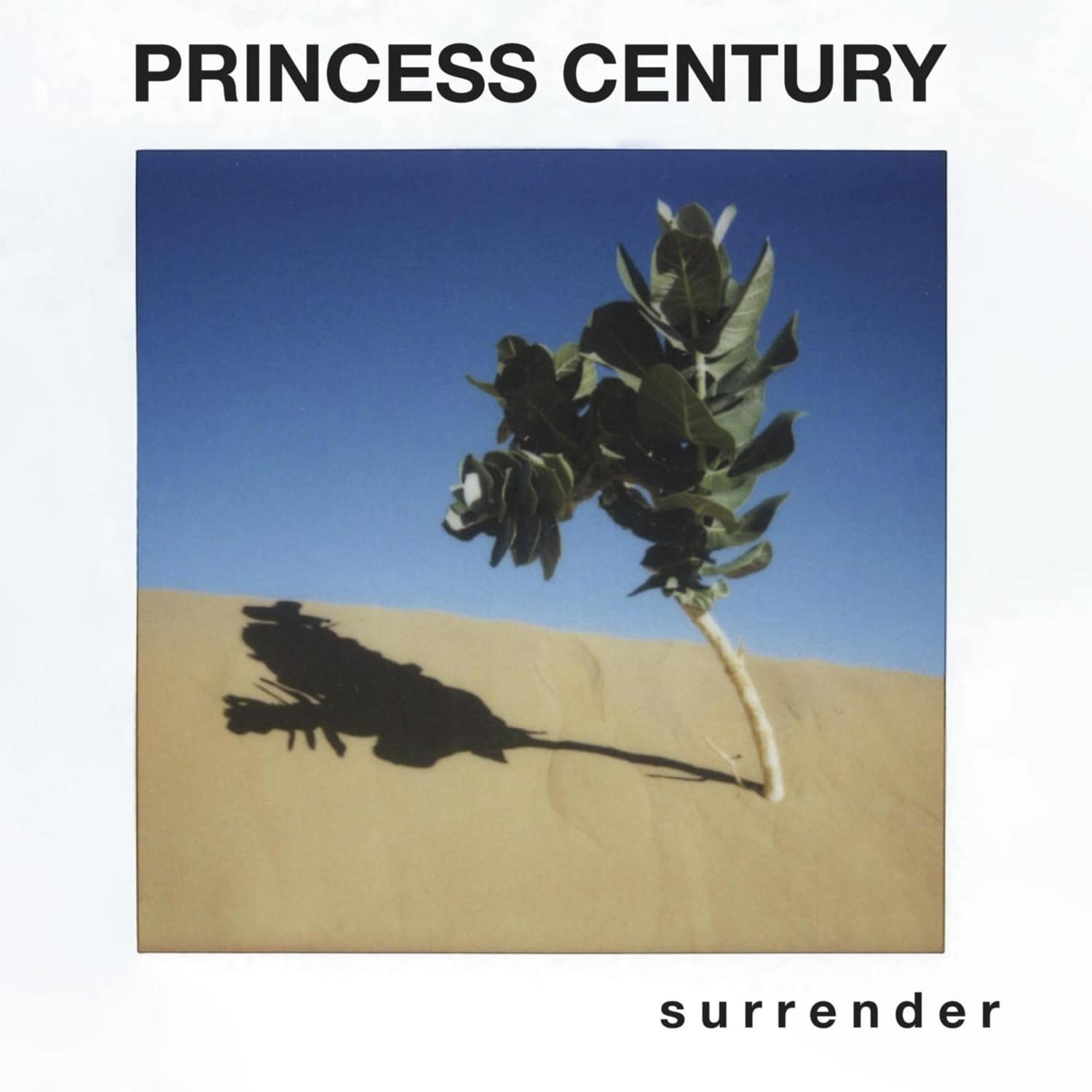 Princess Century - SURRENDER 