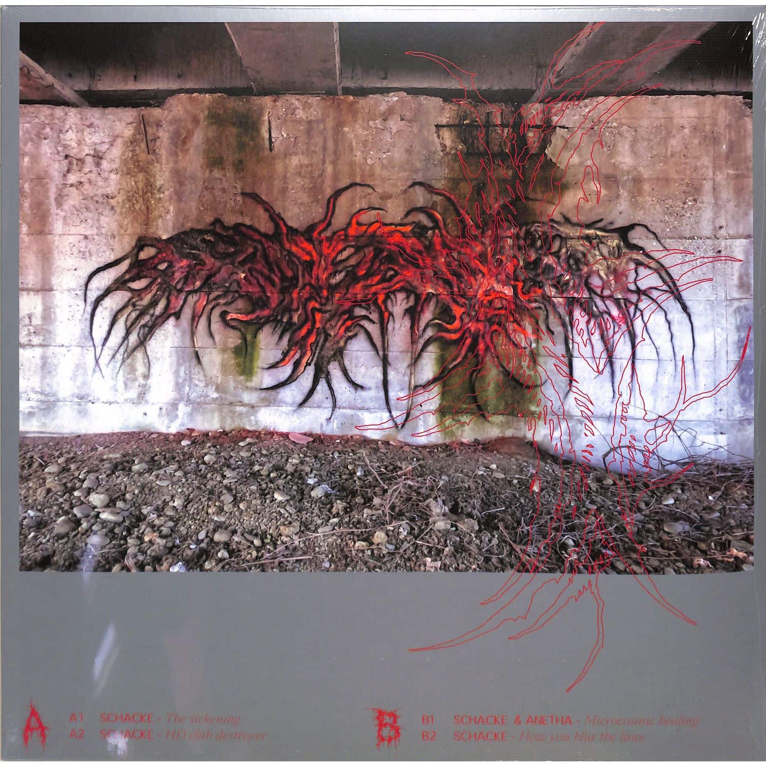 Schacke Anetha - LOOKS ARE DECEIVING