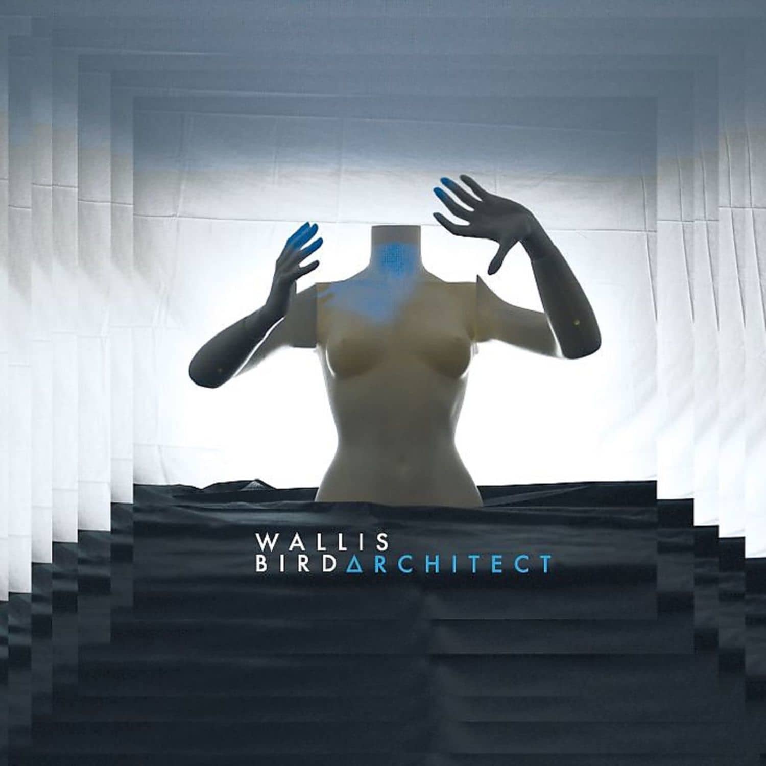 Wallis Bird - ARCHITECT 
