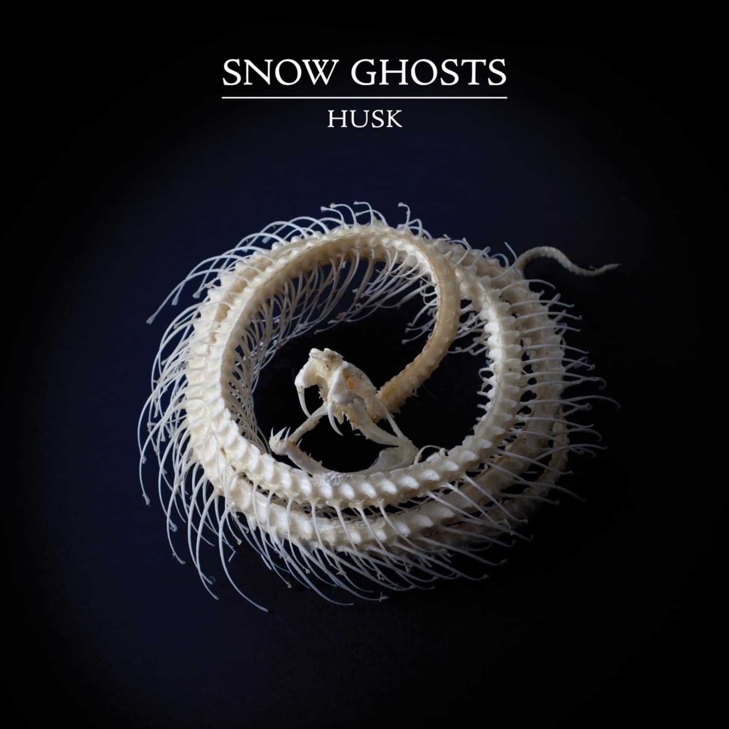 Snow Ghosts - HUSK 