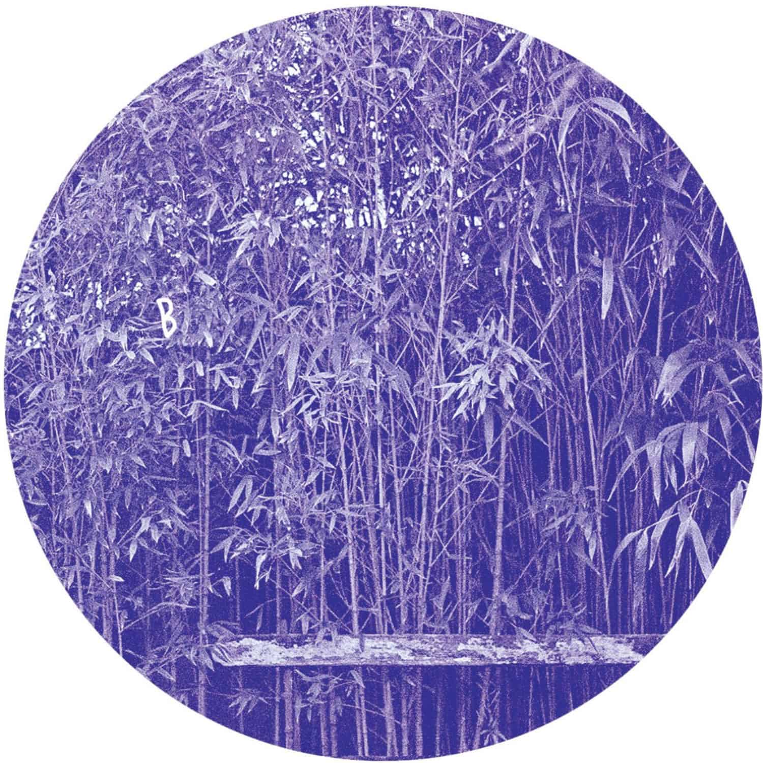 Javi - BERKANA EP