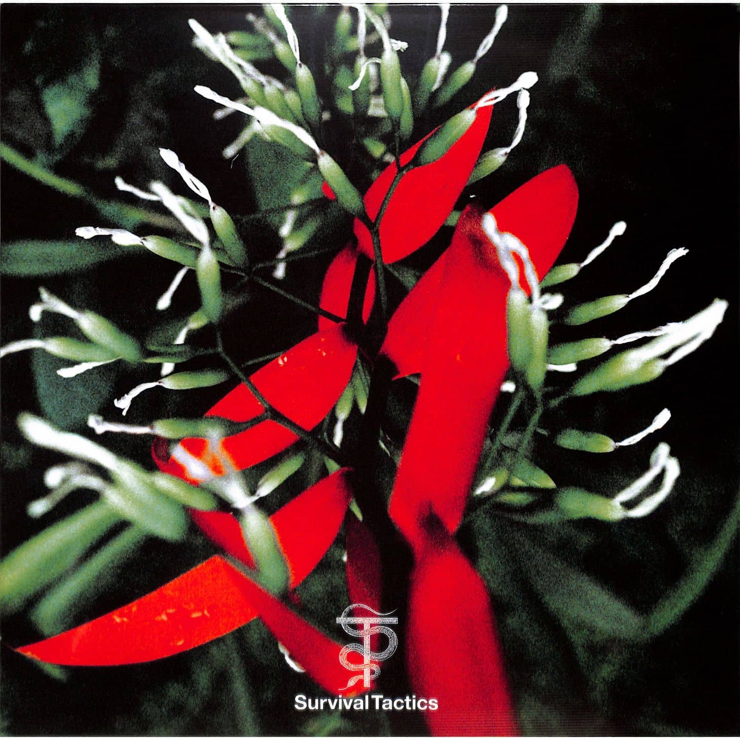 Tal Fussman - EVERYBODY