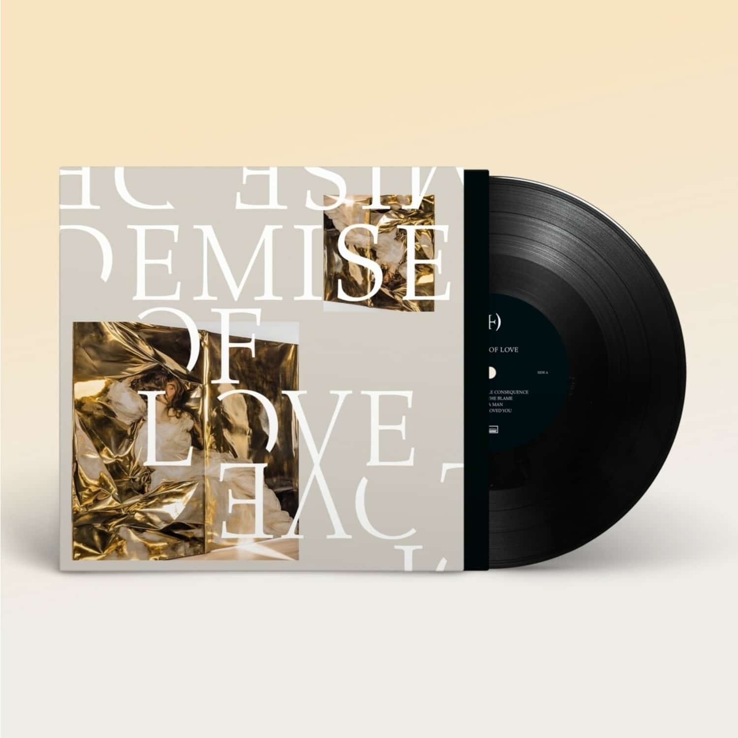 Demise Of Love - DEMISE OF LOVE 