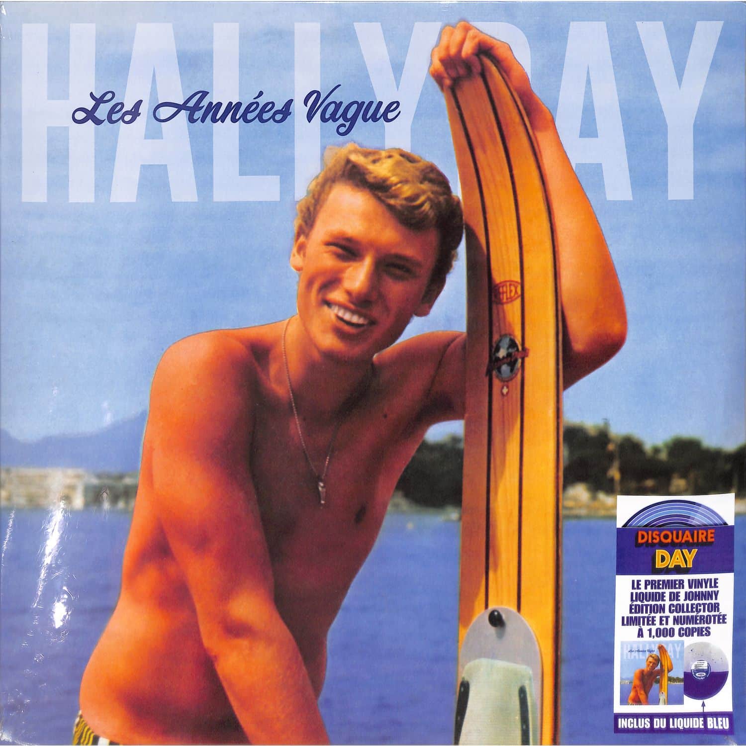 Johnny Hallyday - LES ANNEES VAGUE 