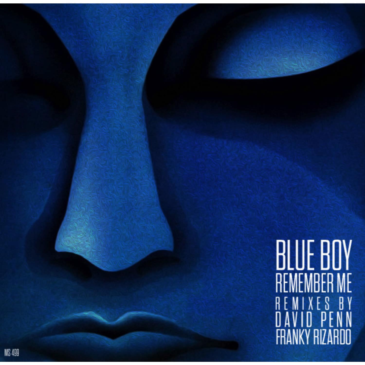 Blue Boy - REMEMBER ME 