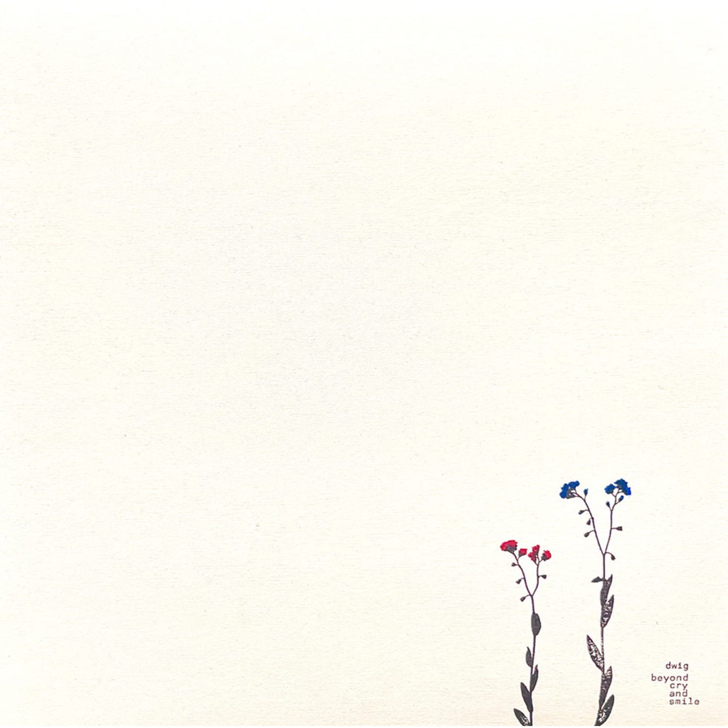 dwig - BEYOND CRY AND SMILE EP
