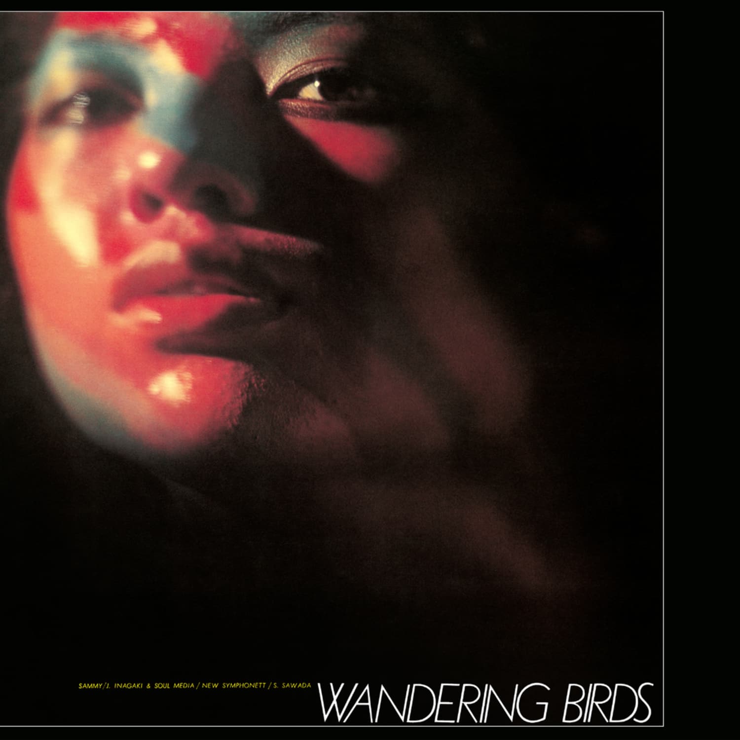 Jiro Inagaki & Soul Media - WANDERING BIRDS