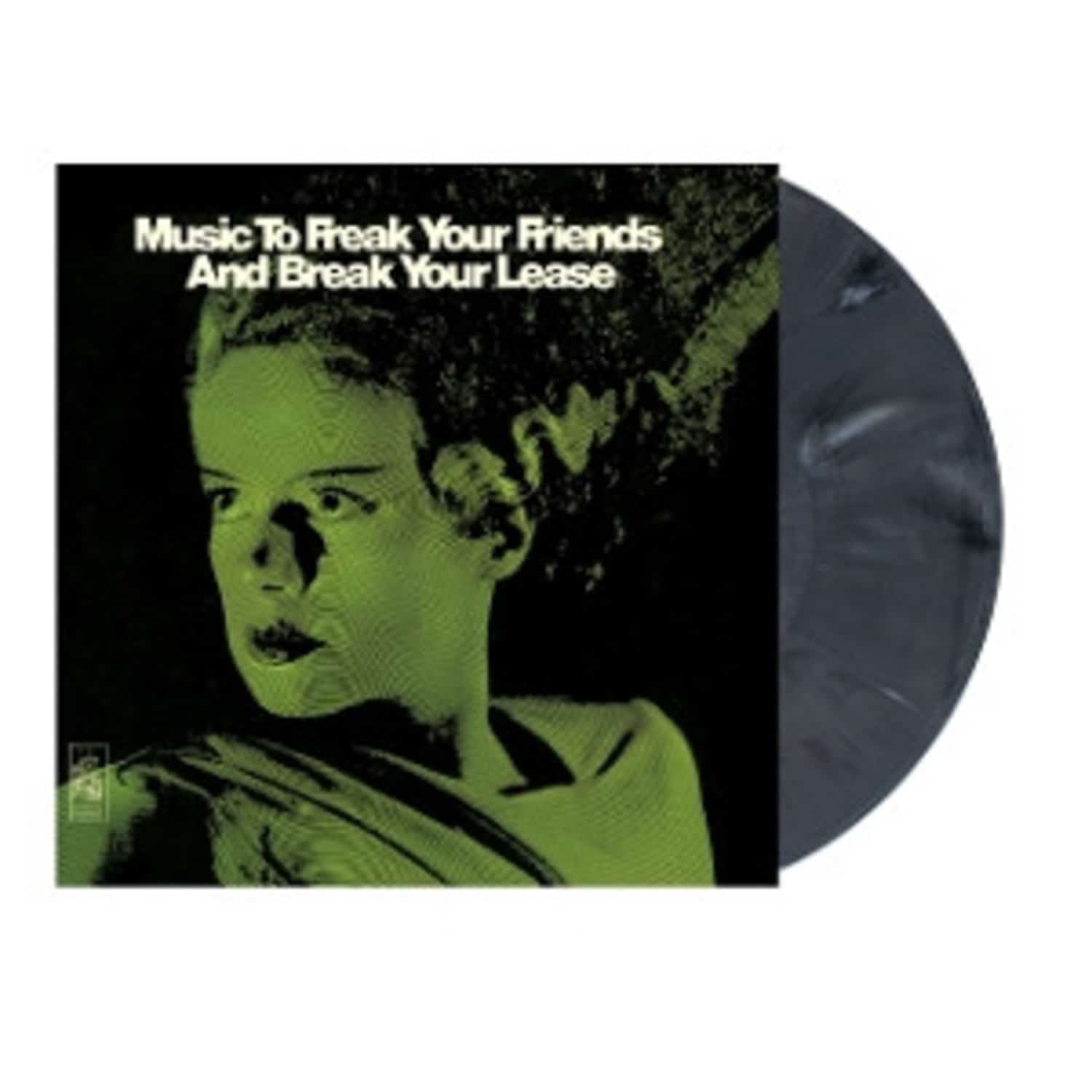 Heins Hoffman-Richter - MUSIC TO FREAK YOUR FRIENDS AND BREAK YOUR LEASE 