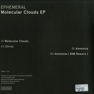 Back View : Ephemeral - MOLECULAR CLOUDS EP (VINYL ONLY) - HELENA / HLN002