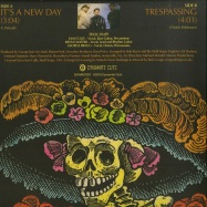 Back View : Skull Snaps - ITS A NEW DAY / TRESPASSING (7 INCH) - Dynamite Cuts / dynam7007