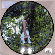 Back View : Tomberlin - PROJECTIONS (PICTURE DISC) - Saddle Creek / LBJ312