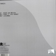 Back View : Daniel Steinberg - KEEP ON MOVIN - Front Room / Frm025
