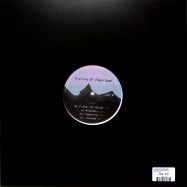 Back View : A Vision Of Panorama - FOLLOW THE MELODY EP - Omena / OM029