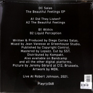 Back View : DC Salas - THE BEAUTIFUL FEELINGS EP - Live at Robert Johnson / Playrjc 068