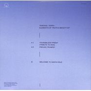 Back View : Terence:Terry: - ELEMENTS OF TRUTH & BEAUTY EP - Melodeum / MLDM05