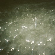 Back View : Ben Kaczor - SIRENE (LP) - St. Odes / SO004