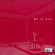 Back View : The Galleria (aka Morgan Geist) - CALLING CARD / MEZZANINE - Environ / ENV038