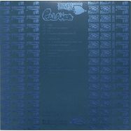 Back View : Species Of Fishes - SOME SONGS OF A DUMB WORLD (2LP) - Galaxiid / GXD004