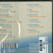 Back View : Rainer Trueby - RAINER TRUEBY PRESENTS SOULGLIDING (CD) - BBE / BBE480CCD