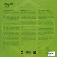 Back View : Rosaceae - DNA (LP) - Pudel Produkte / PP36