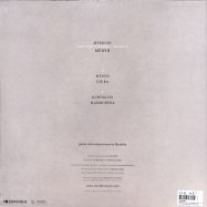 Back View : Myrddin - MONSTRUOS Y DUENDES VOL. 3: MEDYN (LP) - ZEPHYRUS RECORDS / ZEPLP053