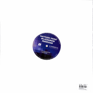Back View : Nathan Fake - BLIZZARDS (REMIXES) - Cambria Instruments / CAMBRIA07