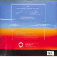 Back View : Hidden Spheres - YOU ARE NOT YOUR BODY (LP) - Rhythm Section / RS047LP