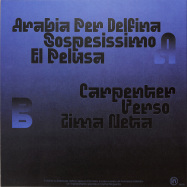 Back View : Steve Pepe - ARABIA PER DELFINA (LP) - Random Numbers / RN019