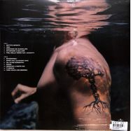 Back View : Eros Ramazzotti - BATTITO INFINITO (LTD. ORANGE TRANSPARENT VINYL) (LP) - Universal / 4593529