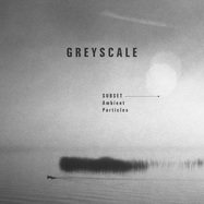 Back View : Subset - AMBIENT PARTICLES (CD) - GREYSCALE / GRSCL33