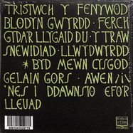 Back View : Tristwch y Fenywod - TRISTWCH Y FENYWOD (CD) - Night School Records / LSSN096CD