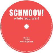 Back View : Schmoov! - WHILE YOU WAIT (2LP, COLOURED VINYL) - Winding Road Records / ROADLP001