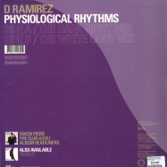 Back View : D. Ramirez & Dirty South - PHYSIOLOGICAL RHYTHMS - Azuli / azny270