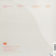 Back View : Swimmingpool - ANYTHING THAT DOESNT MOVE (2LP) - Combination / Core013-1
